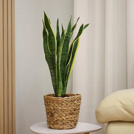 Elegant Near Wilson Square Tirana