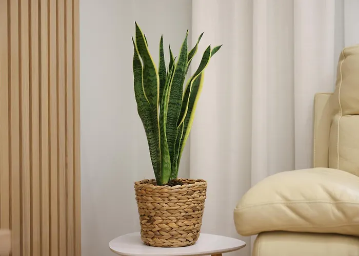 Elegant Near Wilson Square تيرانا